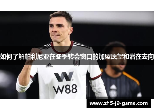 如何了解帕利尼亚在冬季转会窗口的加盟愿望和潜在去向 如何了解帕利尼亚在冬季转会窗口的加盟愿望和潜在去向