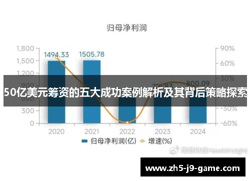 50亿美元筹资的五大成功案例解析及其背后策略探索 50亿美元筹资的五大成功案例解析及其背后策略探索