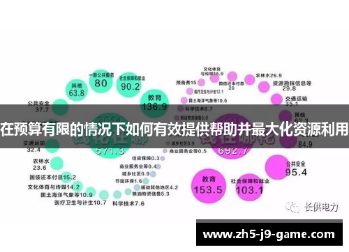 在预算有限的情况下如何有效提供帮助并最大化资源利用 在预算有限的情况下如何有效提供帮助并最大化资源利用