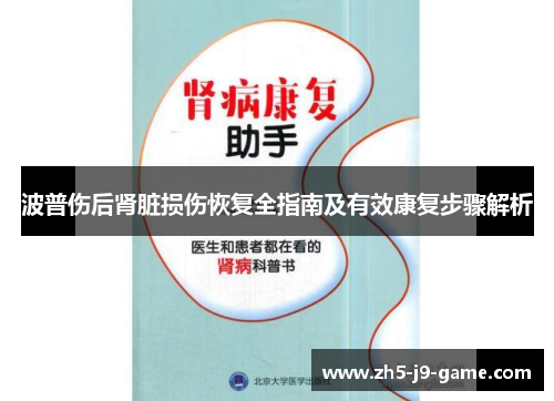 波普伤后肾脏损伤恢复全指南及有效康复步骤解析 波普伤后肾脏损伤恢复全指南及有效康复步骤解析
