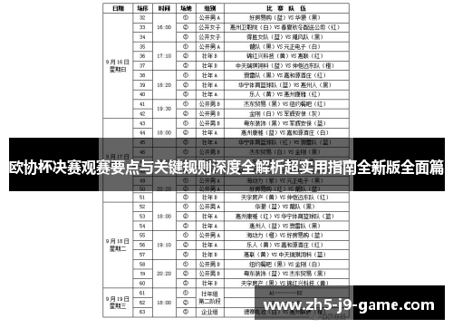 欧协杯决赛观赛要点与关键规则深度全解析超实用指南全新版全面篇