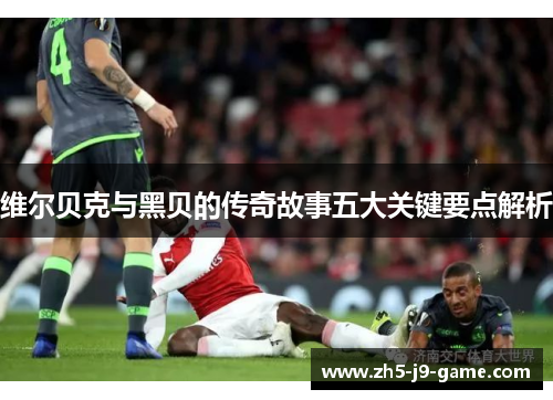 维尔贝克与黑贝的传奇故事五大关键要点解析